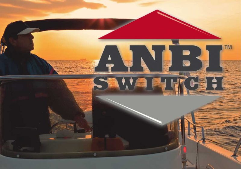 ANBI Switch