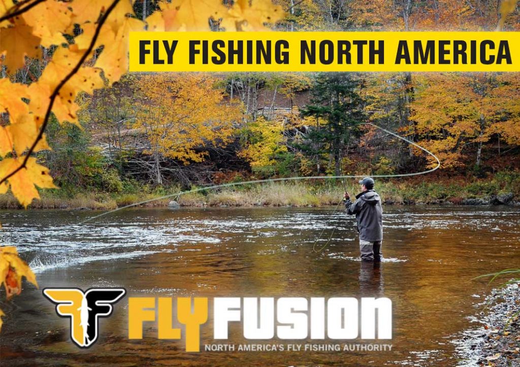 Fly Fusion TV