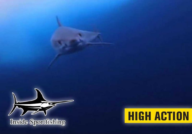 Inside Sport Fishing